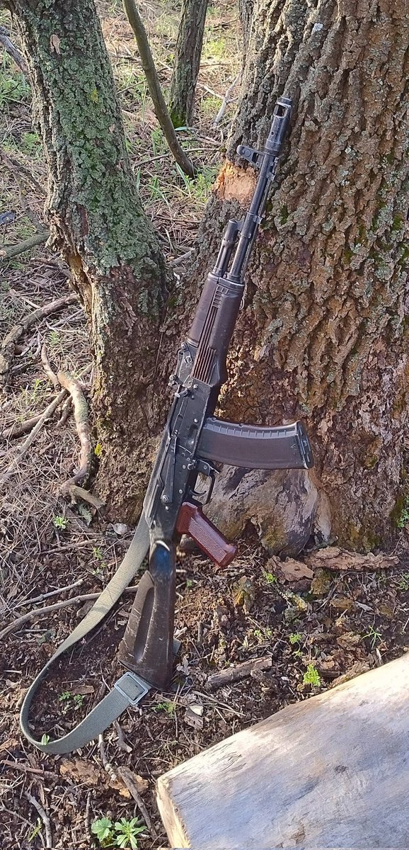 Дикі бжели tweet media