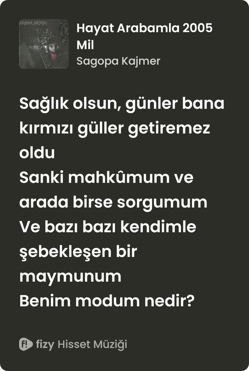 Yonca 🍀🍀 tweet media