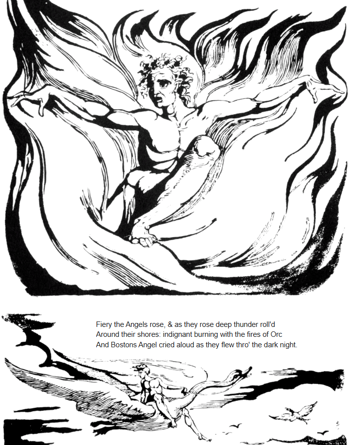 TheFoodMachine tweet media