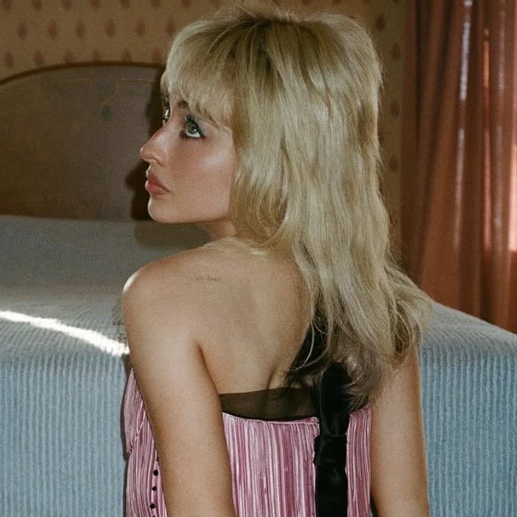 ri ☽ ⋆🐾⋆ tweet media