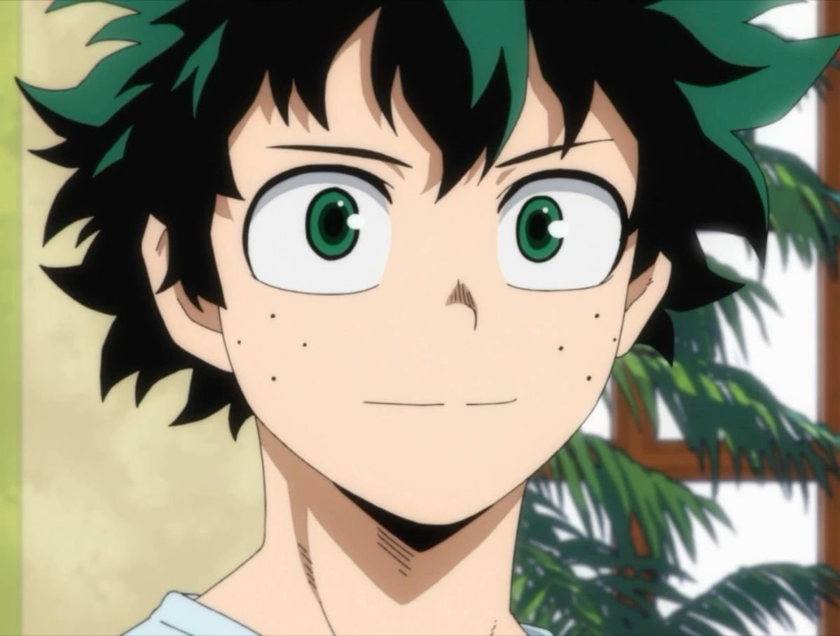 Midoriya Izuku! tweet media