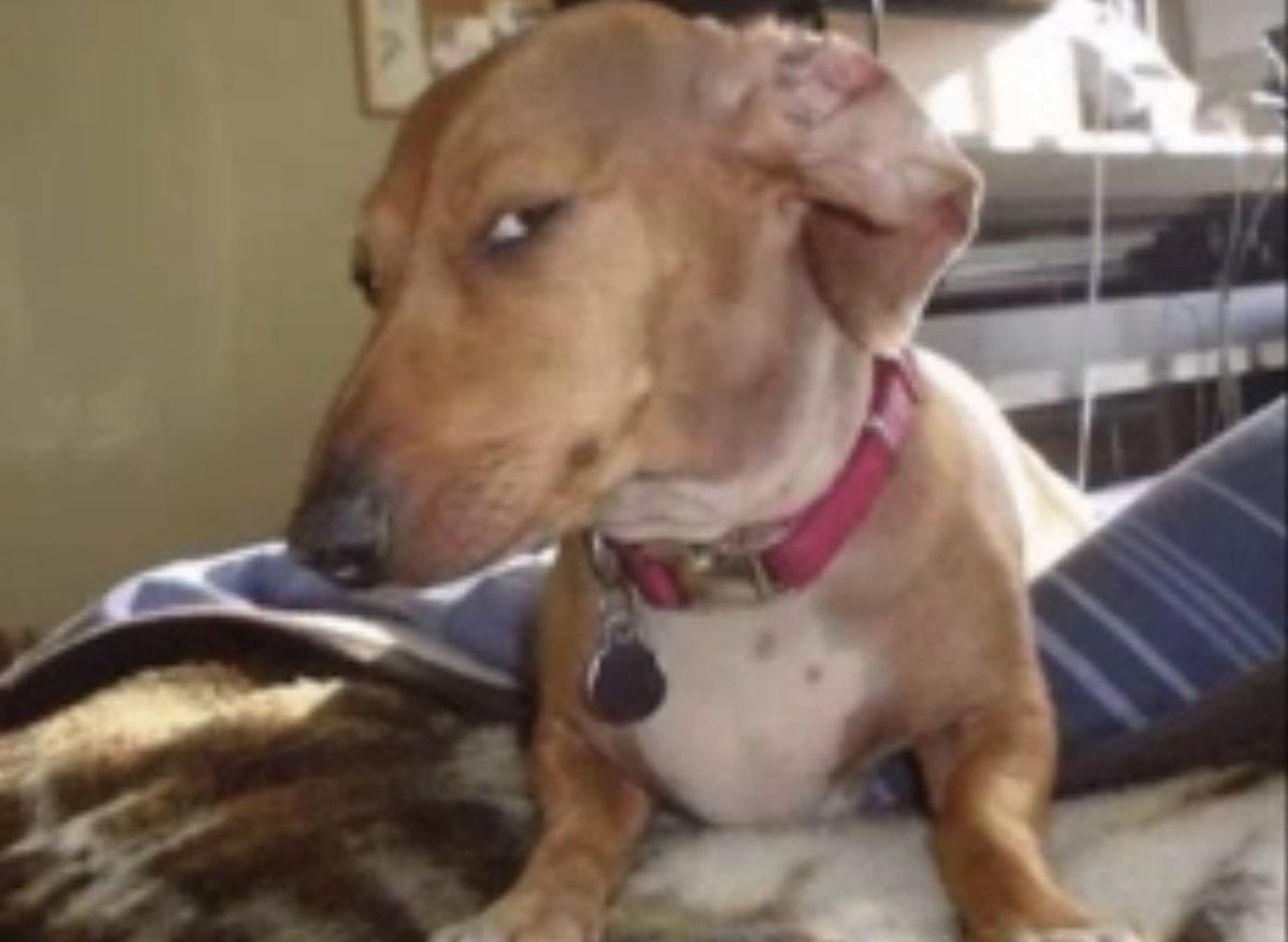 CoreView tweet media