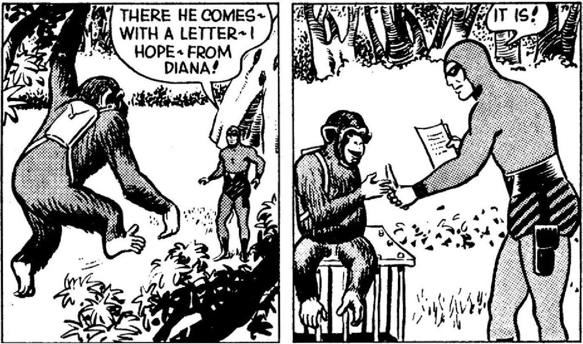 Chronicle_Tweet's tweet image. The Phantom comic strips have many romantic elements, like the Monkey Mail. However, do they still have a place in today's world?

On this day in 1960, the monkey mail was first used in a story.

Art by Wilson McCoy
#ThePhantom #Phantom #HappyPhantoming #WilsonMcCoy