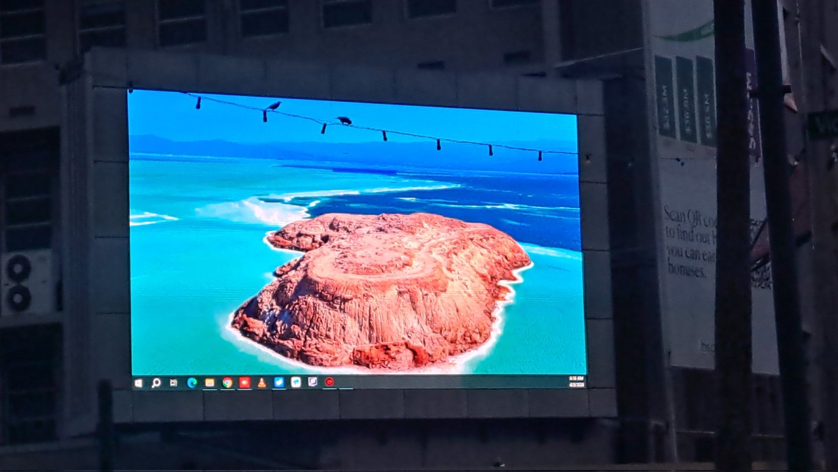 Mr. Sh4rk🦈 tweet media