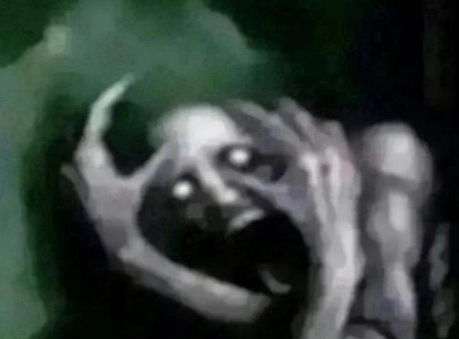 Tony 🐾💥 Dr. Capt. Tboy Grace tweet media