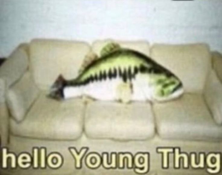 finnmints tweet media