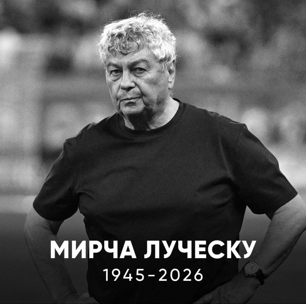 ГорловSKY tweet media