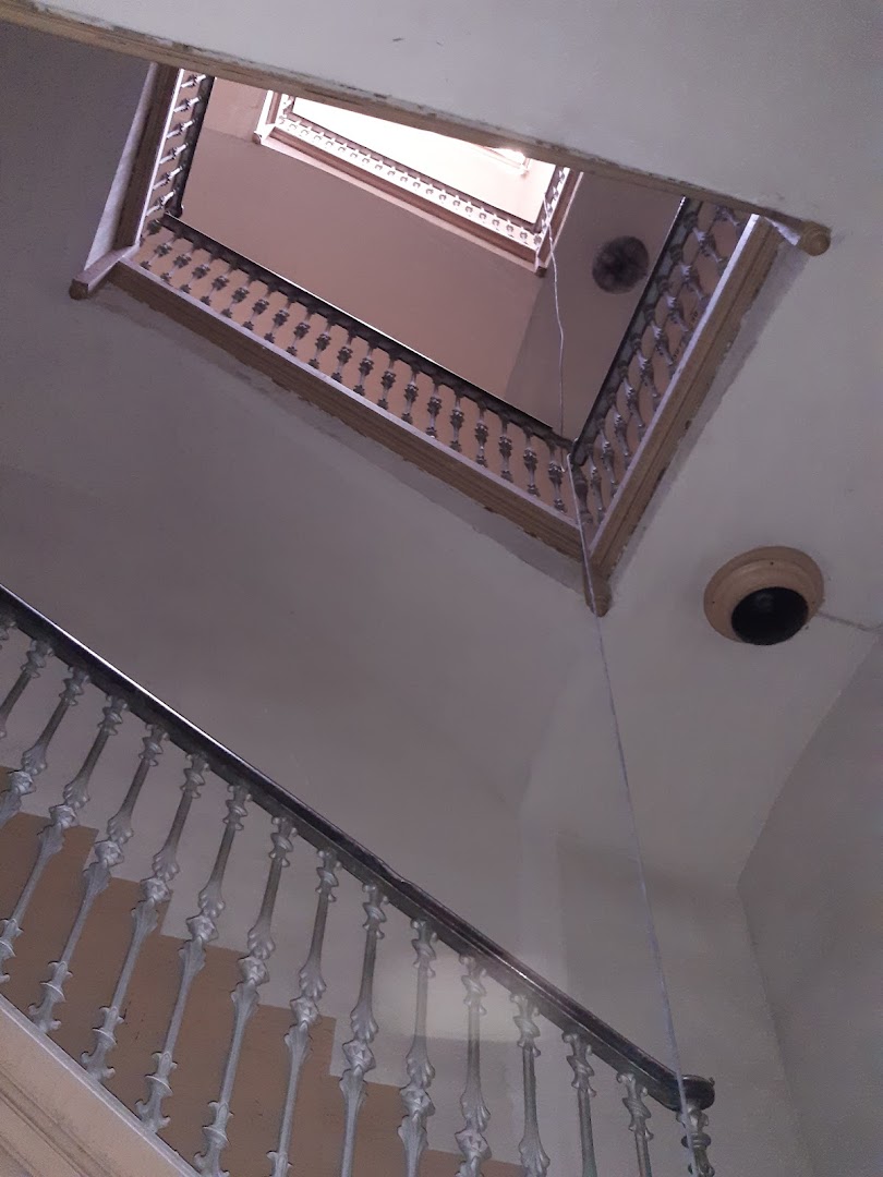 transport.cat tweet media