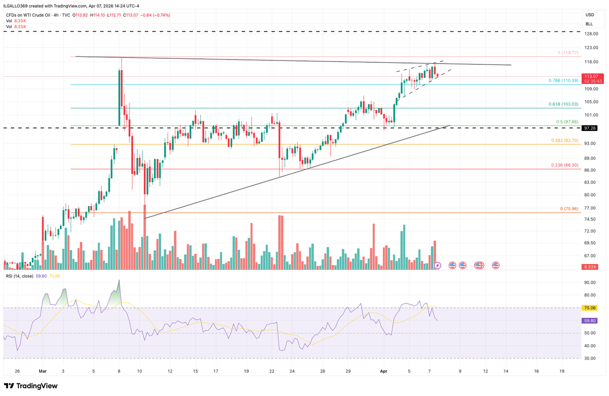 IL GALLO tweet media