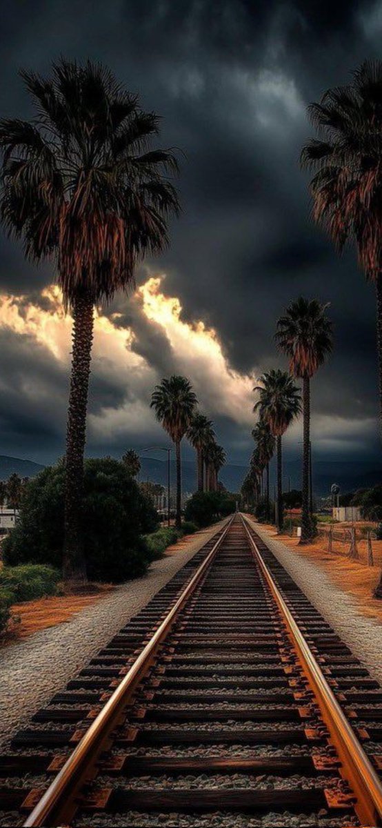 KAAN Sozdar -1-Mertoğlu ❤️GS💛 🫴Ana hesabım☝️ tweet media