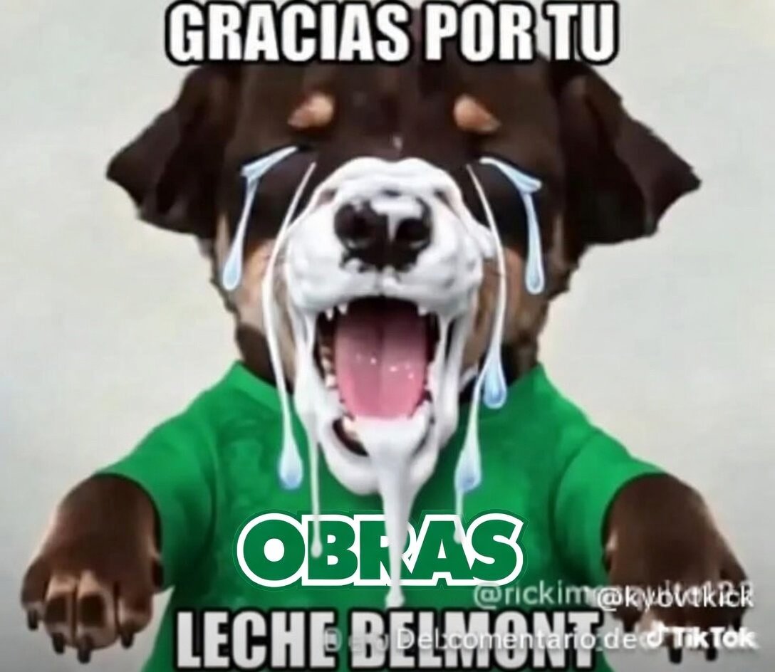 Mauricio J. 🌟 tweet media