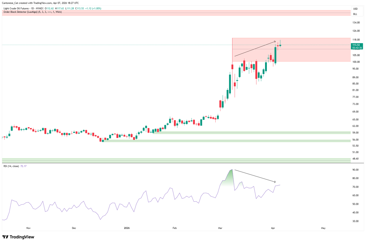 Cantonese Cat 🐱🐈 tweet media