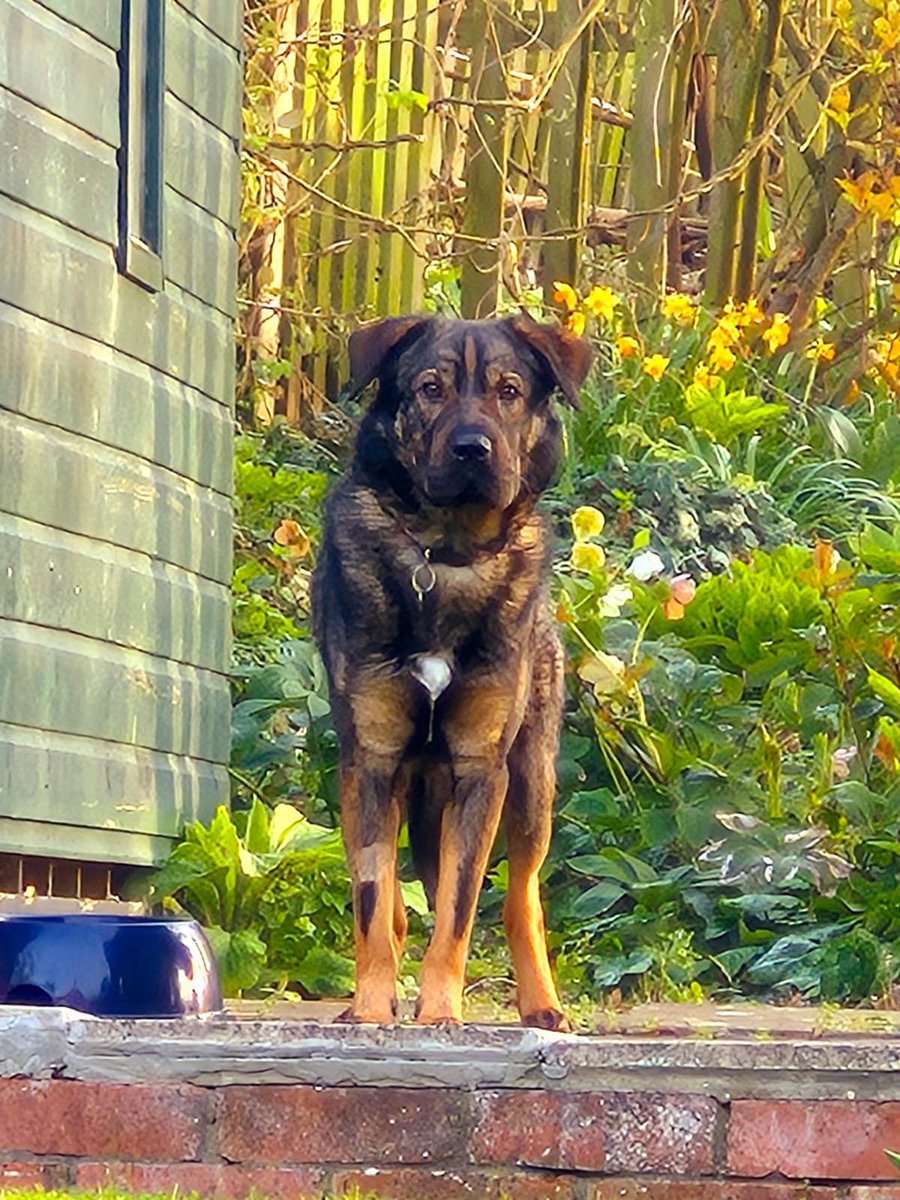 chris towers tweet media