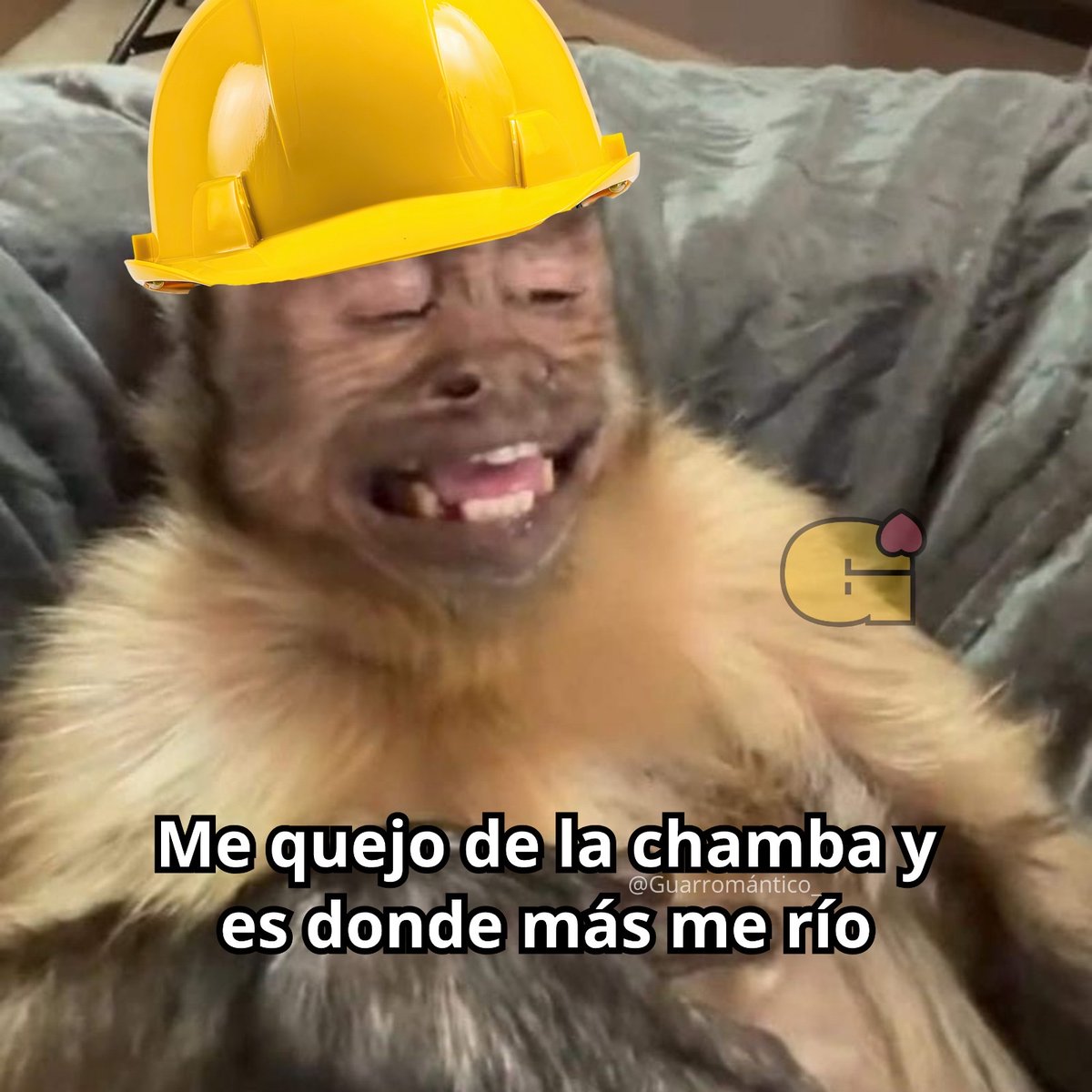 El Guarromántico tweet media