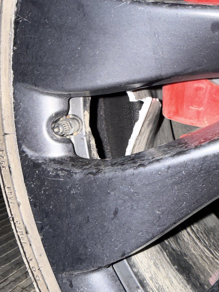 Mocha Bezirgan 🇨🇦 tweet media