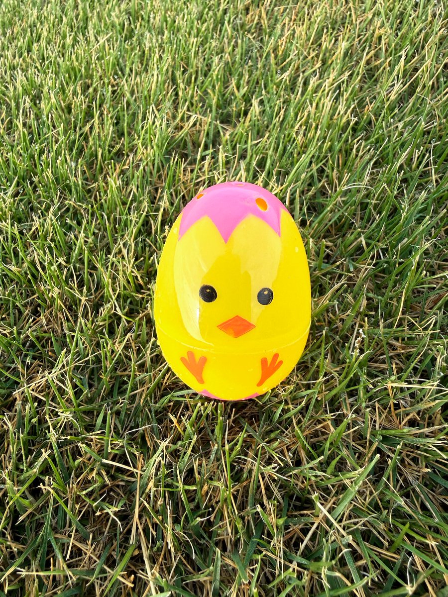 NGTurf's tweet photo. The Easter Bunny clocked in early at the Whitesburg farm 🐰🌷
Bus after bus of Whitesburg Elementary students hopped into our fields for an egg hunt of 7,000 hidden surprises. It was an egg-citing day. Safe to say it was a big win for the kids and a fun test for our Zoysia. https://t.co/6PvozDvVpT