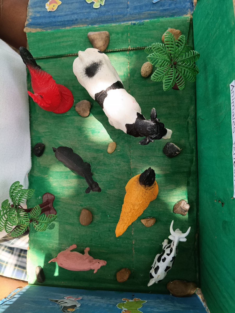 blisneida tweet media