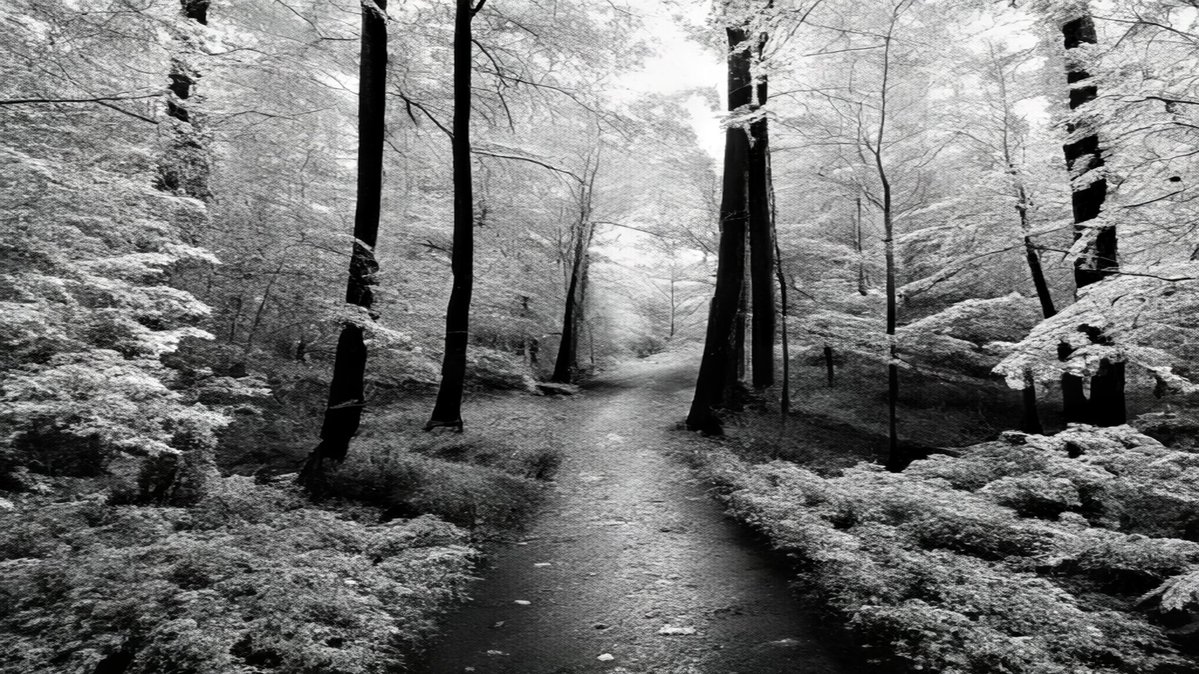 wongsusie tweet media