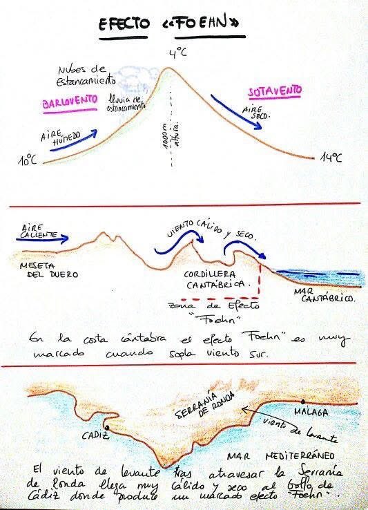 Valor ESG tweet media