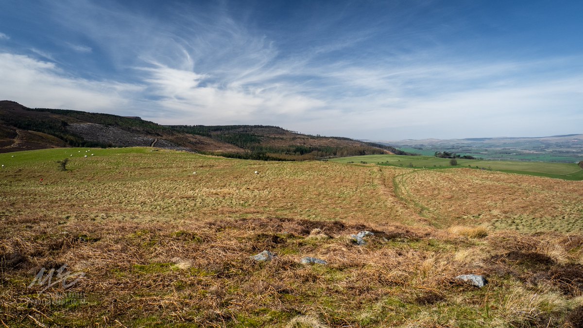 jollybeggars's tweet image. Went for a walk from Rothbury up to Lordenshaw Hillfort today.  #Northumberland