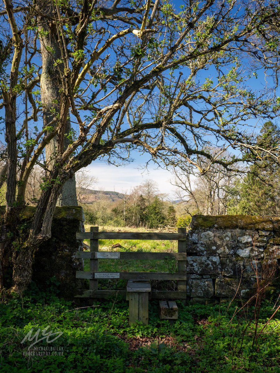 jollybeggars's tweet image. Went for a walk from Rothbury up to Lordenshaw Hillfort today.  #Northumberland