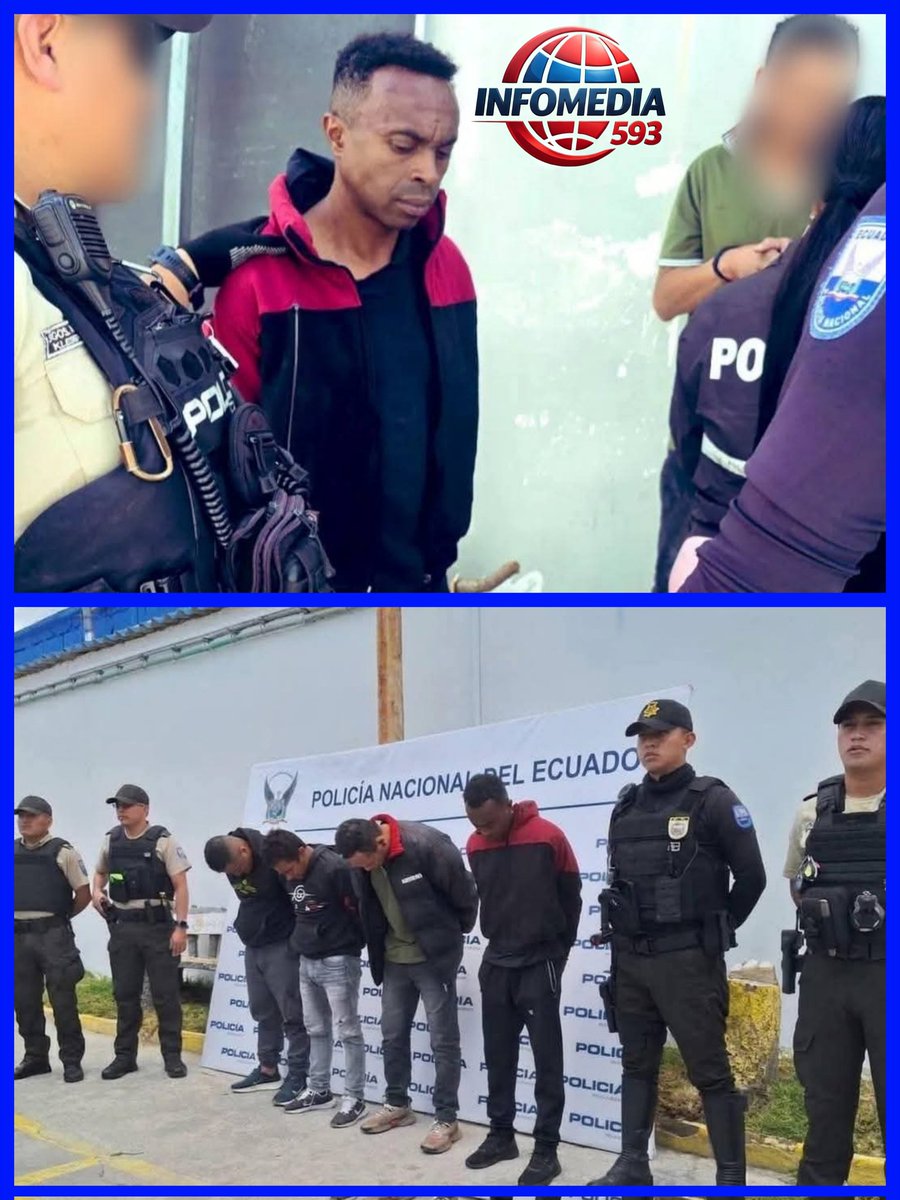 Infomedia 593 tweet media