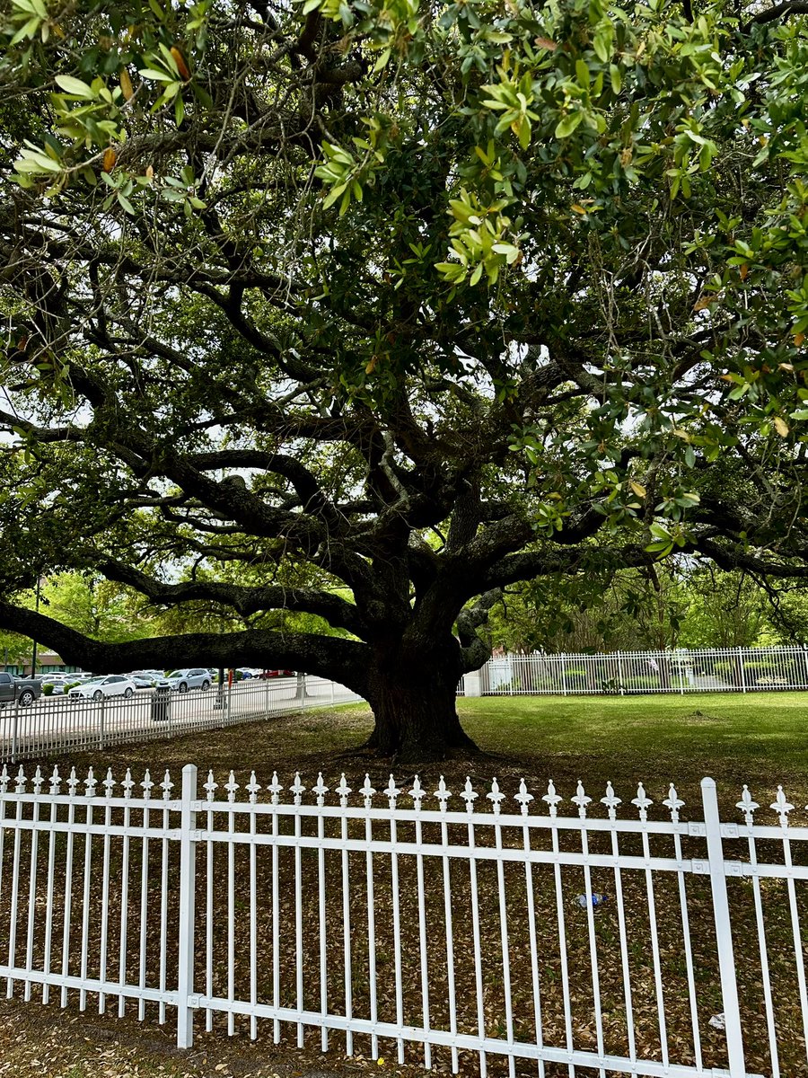 Michael Frye tweet media