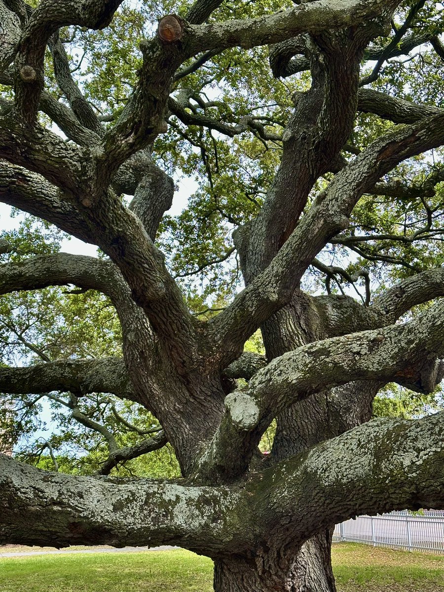 Michael Frye tweet media