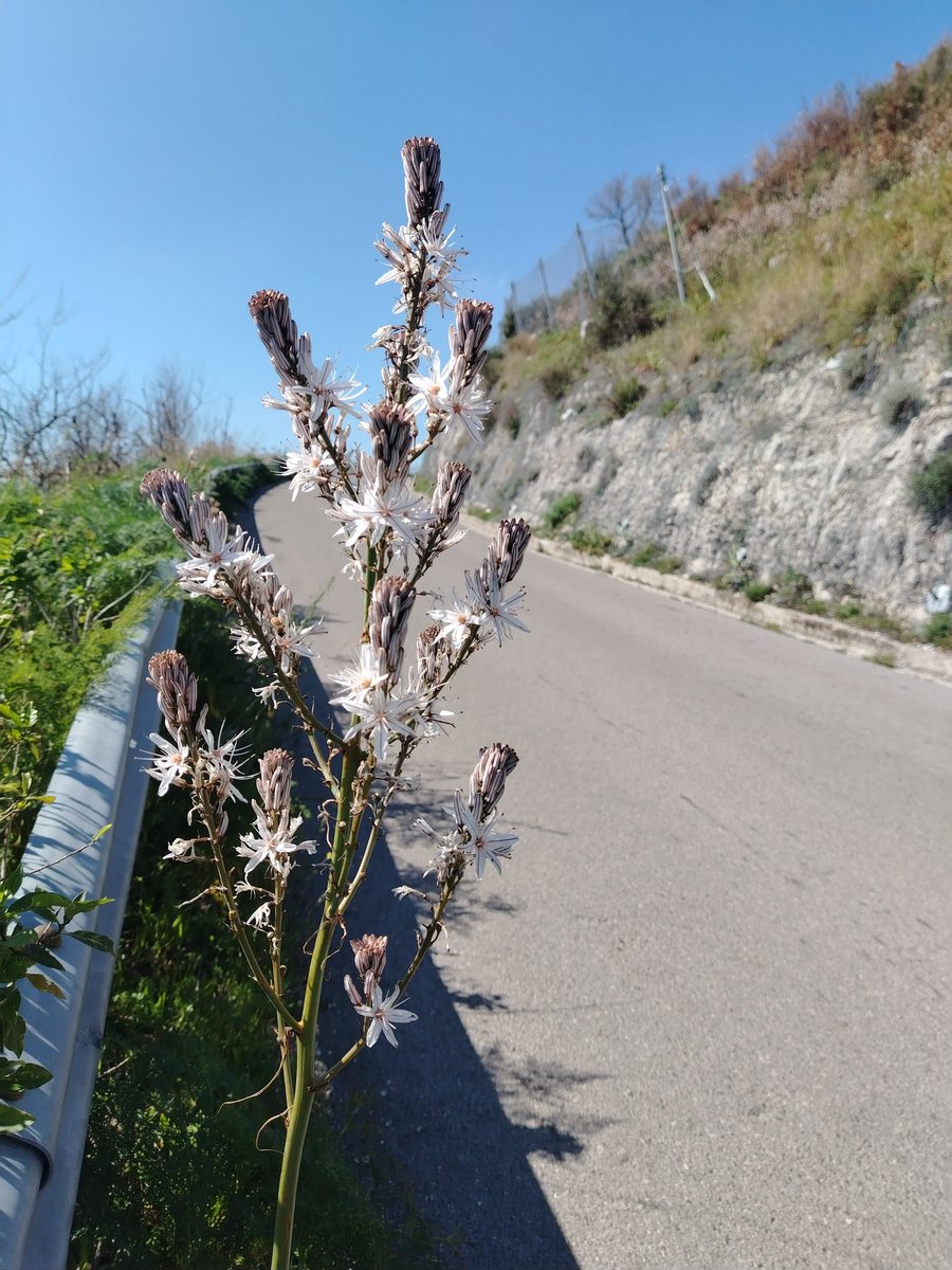 È Dio tutto ciò che ci sorpassa, tutto ciò su cui non abbiamo trionfato.

Marguerite Yourcenar, Maria Maddalena o della salvezza, da Fuochi