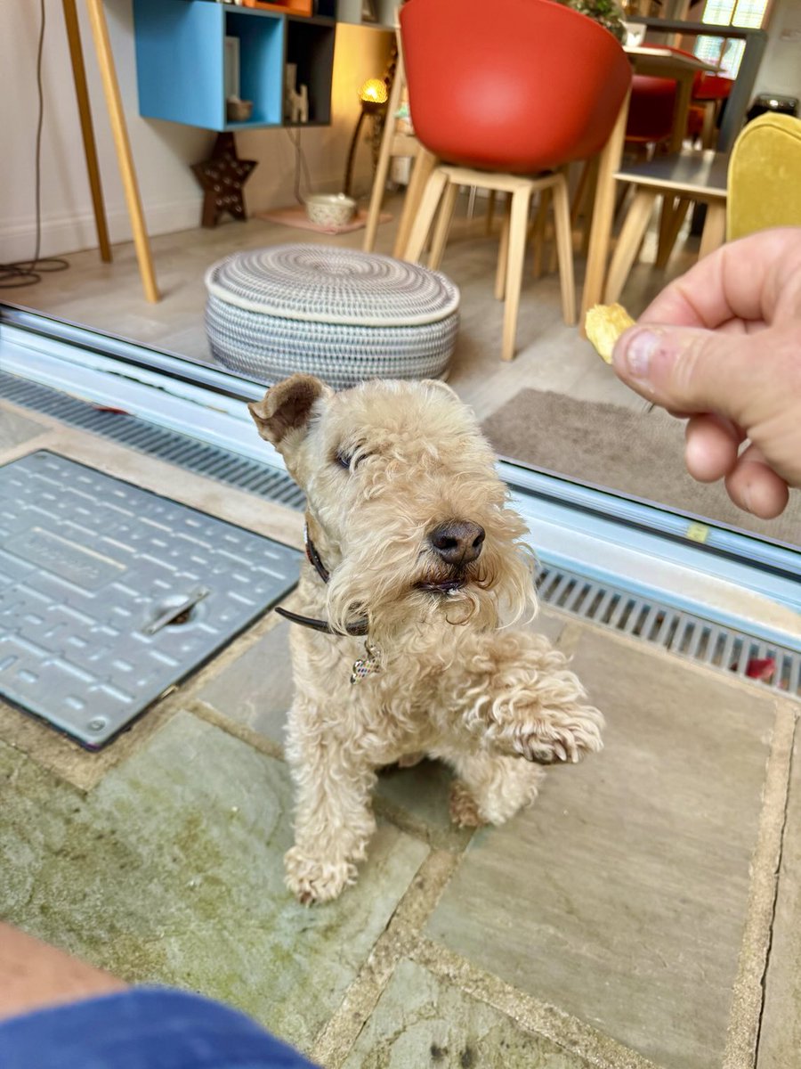 Bertie Lakeland tweet media