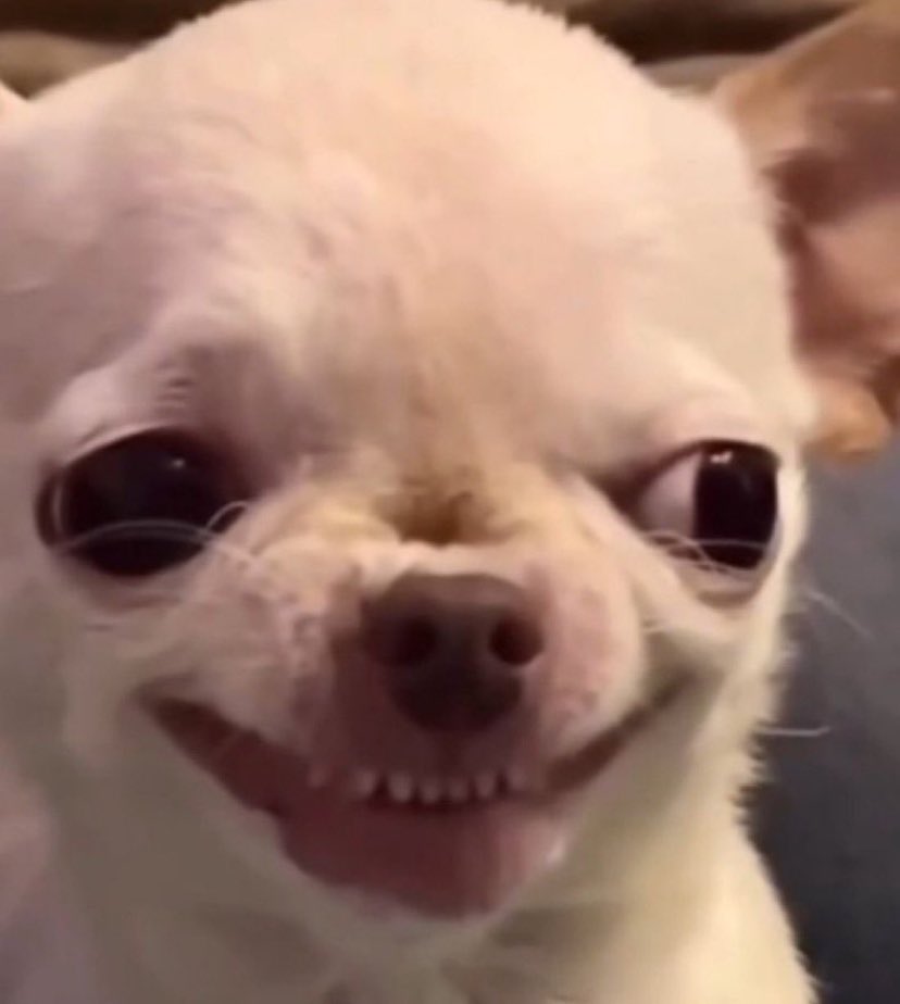 Patlex_uchiha 📊 tweet media