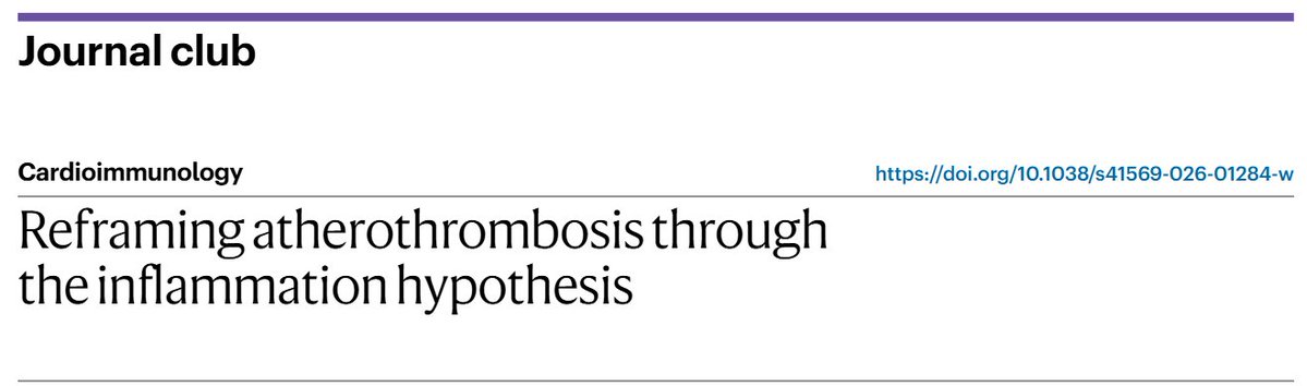 Art Schuermans tweet media