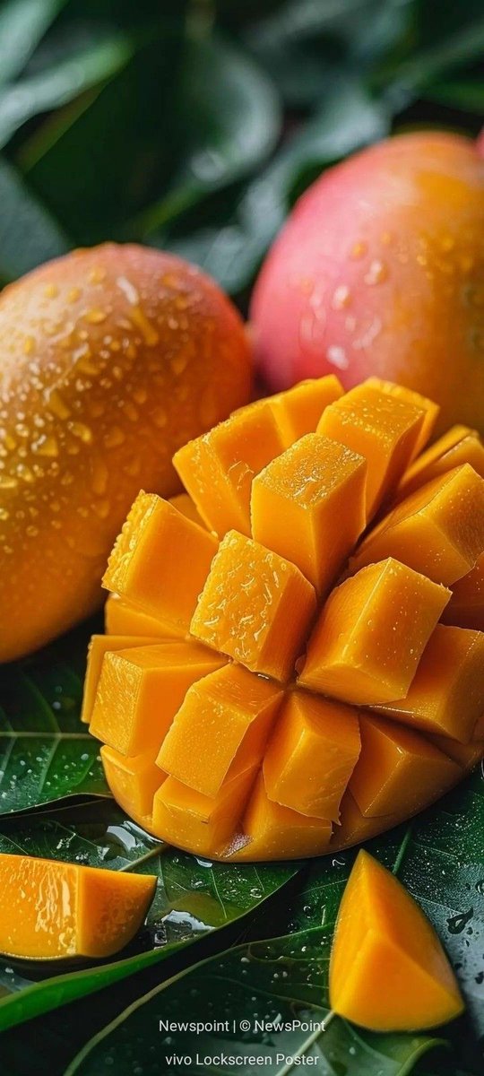 Xenia 🍒🍒🍒 tweet media