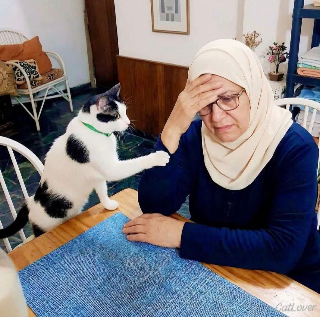 هوية مجهولة tweet media