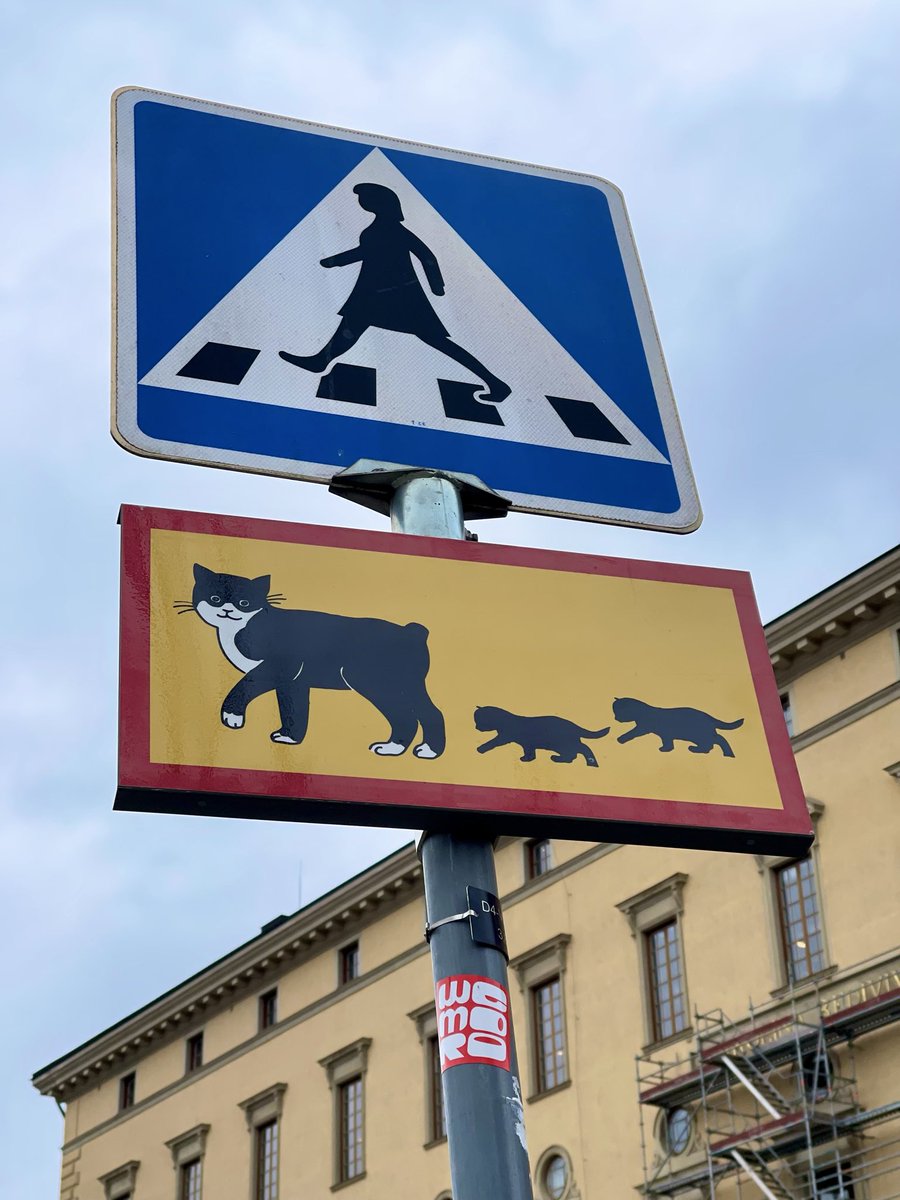 VignoEva's tweet image. Première fois que je vois ça, une traverse de chats 😸
#Uppsala