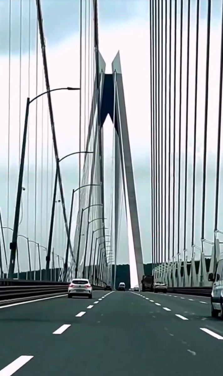 Nazlı'm 🐺🇹🇷 tweet media