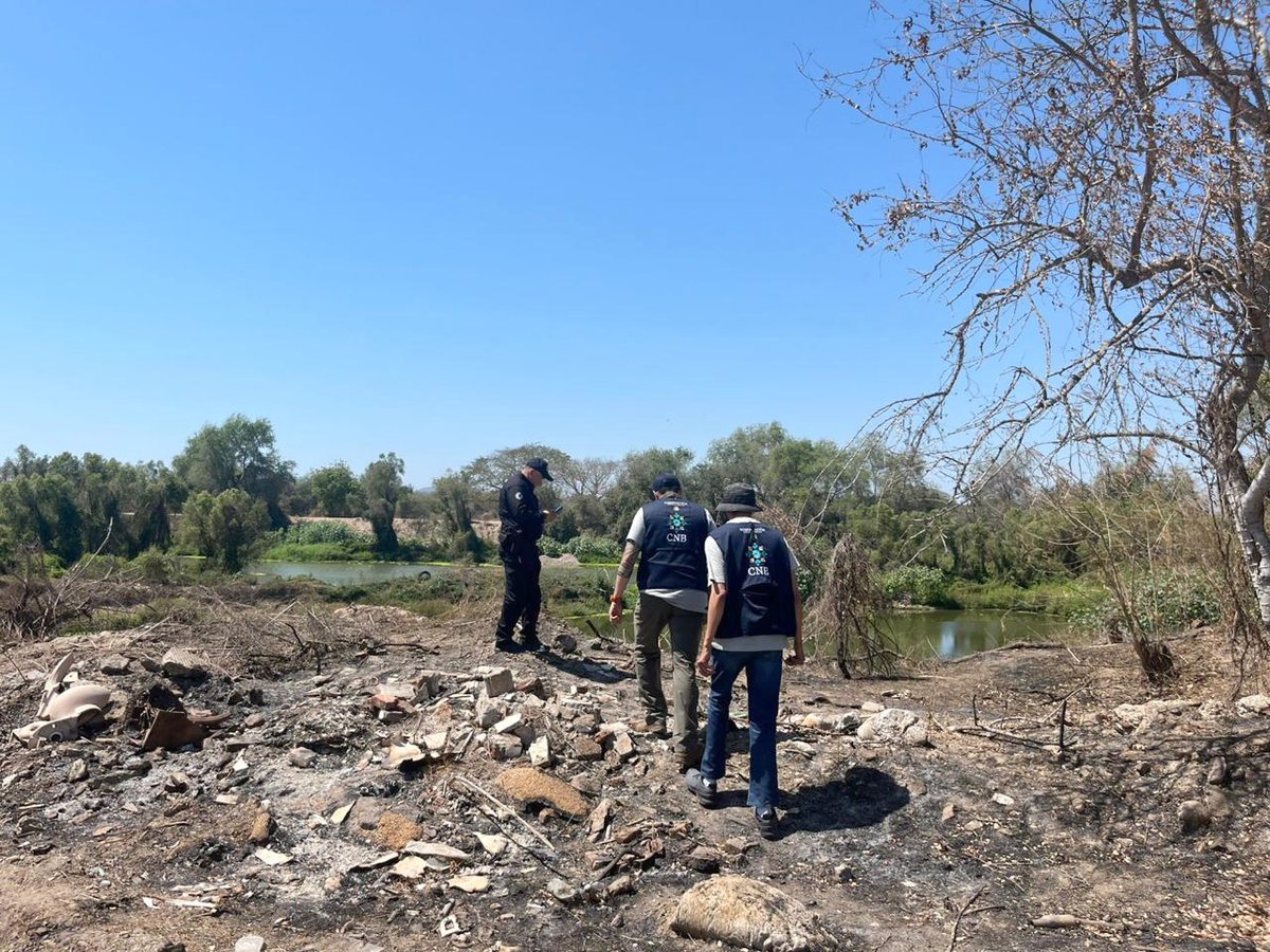 Comisión Nal. de Búsqueda Mx tweet media