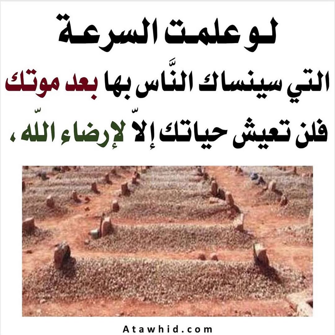 الكتابُ والسُّنة tweet media