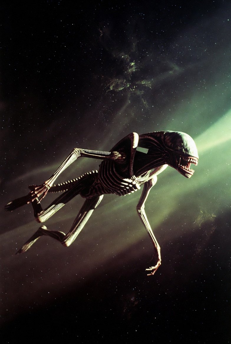 Kapitan Jack Sparrow tweet media