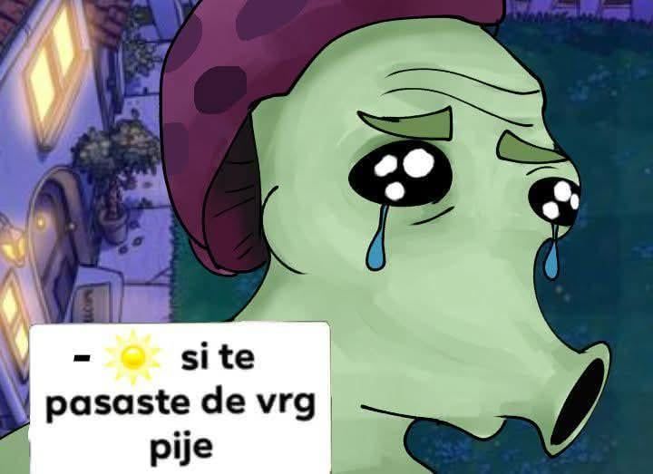 night but my ass is #SharkyTwT tweet media