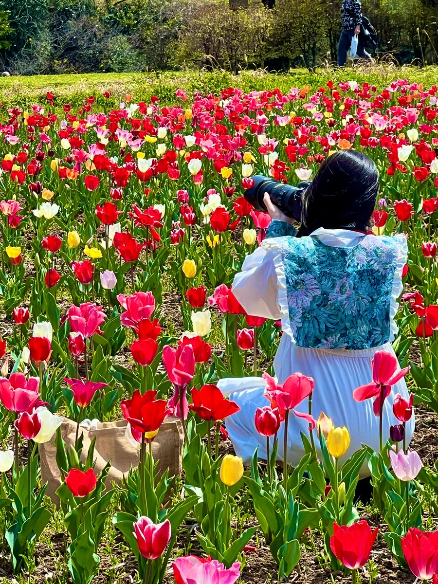 きっかどう（kiccado） tweet media