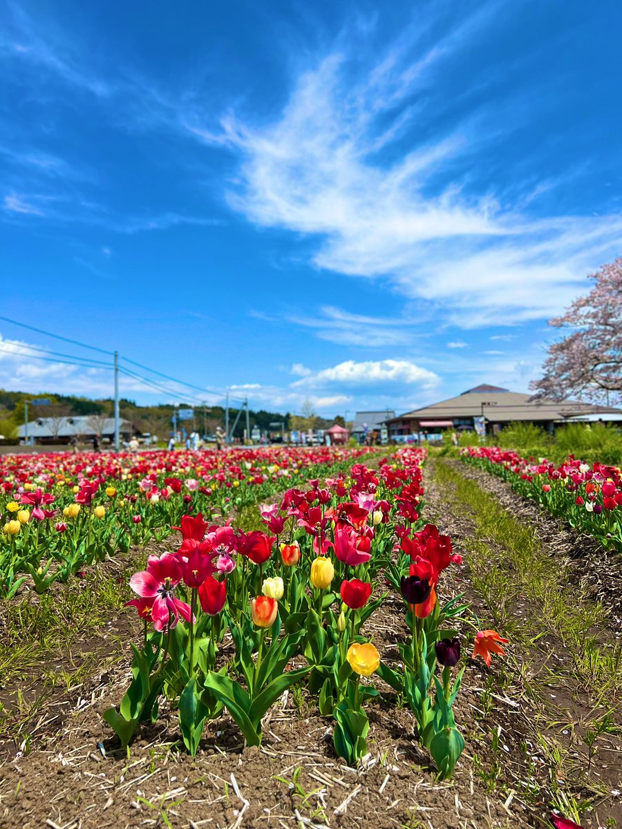 きっかどう（kiccado） tweet media