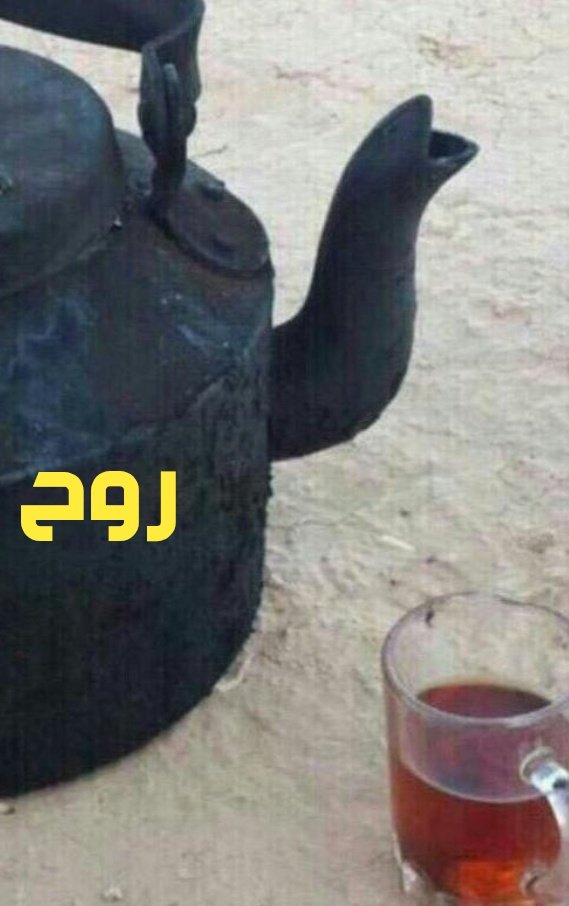 Flex Elite tweet media