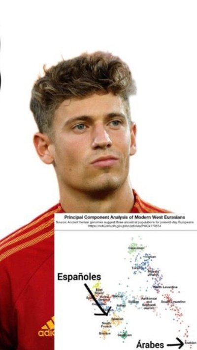 Atleti o plomo🕸 tweet media