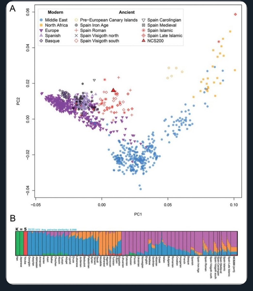 Atleti o plomo🕸 tweet media