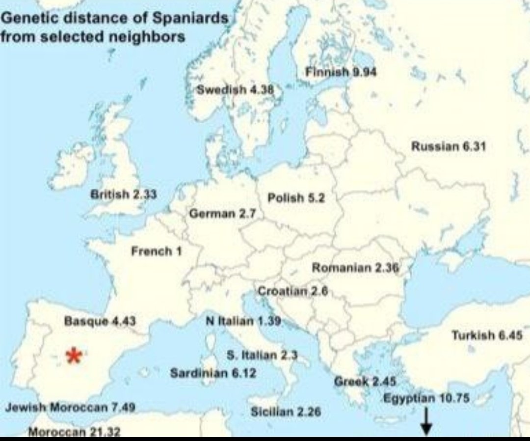 Atleti o plomo🕸 tweet media