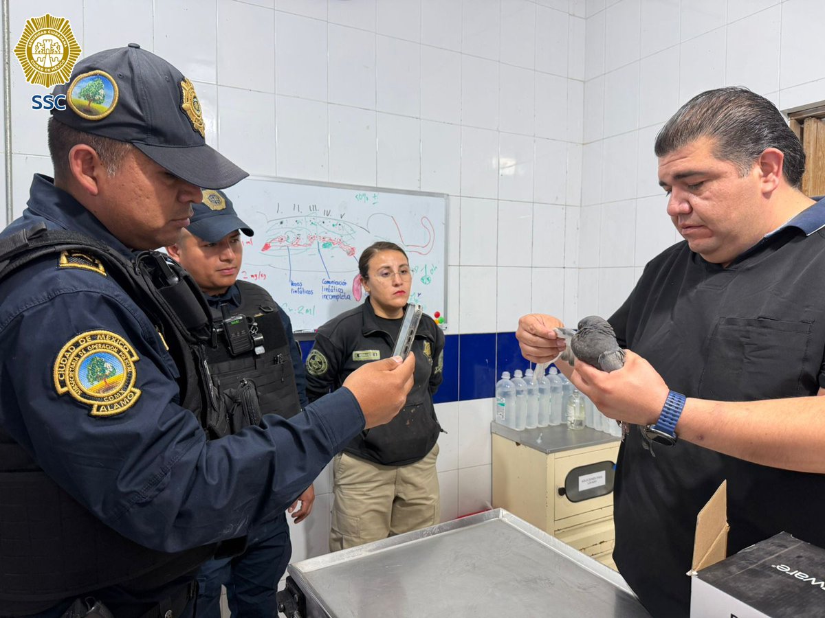 SSC CDMX tweet media