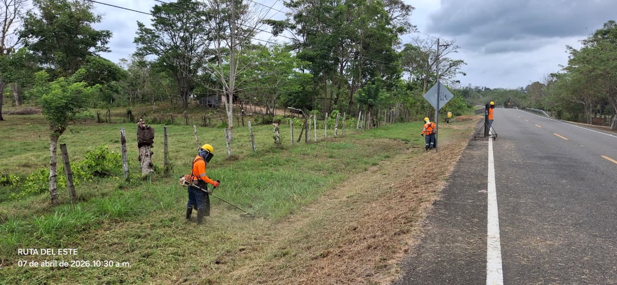 Rutadelestepa's tweet image. 🌱 Limpieza de área verde y recolección de desechos 🧹
📍 PK 270+090, margen derecha (LD P‑Y)
🏘️ Comunidad de Yaviza
Seguimos contribuyendo al cuidado del entorno y al bienestar de nuestras comunidades 💚
#RutaDelEste
#CompromisoAmbiental
#TrabajoEnComunidad
#CuidemosElEntorno