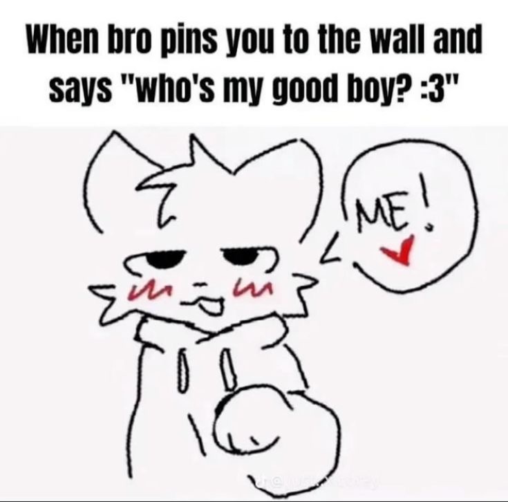 .✦ ݁˖ tweet media