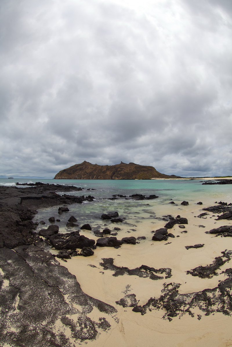 j saggio tweet media